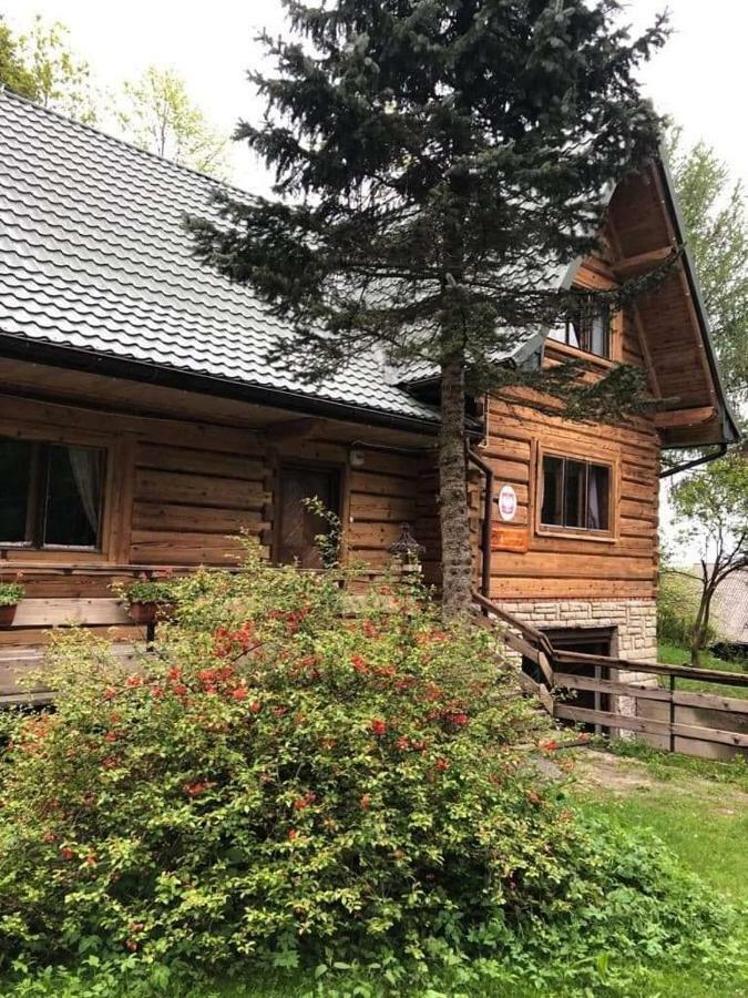 Lesniczowka Przysietnica Villa Przysietnica  Kültér fotó